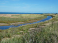 Tankerton Promenade