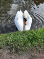 Burtonwood Sankey Brook Circular