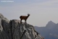 La Montagne de Sous-Dîne par le Pas de la Truie La Montagne de Sous-Dîne par le Pas de la Truie