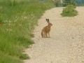 Sympatique rencontre