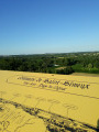 Réseau de pierres et de vignes