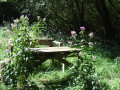 Table de pique-nique rustique