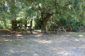 Tables de pique-nique à l'ombre sur la rive du lac
