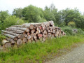 Tas de bois