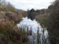Tas Valley Way - Cringleford to Tasburgh
