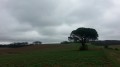 Sentier des clochers Sentier des clochers