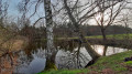 Teich am Ortsrand von Schwand