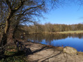 Volksdorf: Teichwiesen, Berner Au und Museumsdorf