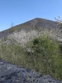 terril 3