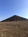 terril 74