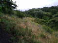 Terril 80
