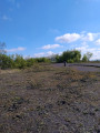 terril de pinchonvales
