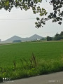 terril looos en gohelle