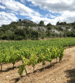 Terroir des Sables