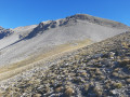 T&ecirc;te de Belau