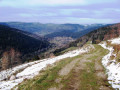 tête des champs tête des champs
