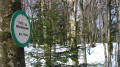 Tête du Moinechamp.