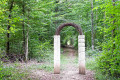 The basilica of the forest The basilica of the forest