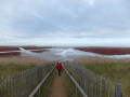 The beach at Holkham