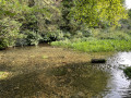 The Bulbourne River next to the Grand Union Canal