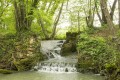 The Cannerie weir