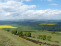 The Cheviots from Burgh Hill
