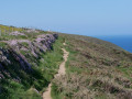 The Coastal Path