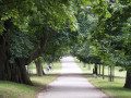 The Fonnereau Way to Ipswich