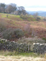 The gate in the wall diagonally across from point 4; Grinton Hall in the background