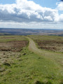 The green trod becomes a track