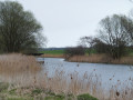 From Trimley to Languard Fort via Felixstowe Ferry