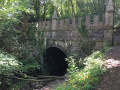 The source of the River Thames from Sapperton