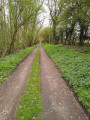 The old railway line