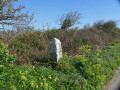 The old road milestone
