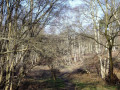 The old route of the Blythburgh to Aldeburgh road