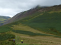 Grisedale Pike and Hopegill Head Circular