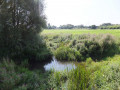 The River Alde