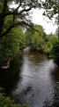 The River Fowey from the path