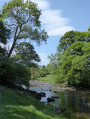 The River Wharfe between Burnsall and Linton