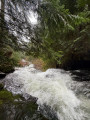 The rushing water