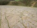 The Spyway Dinosaur footprints