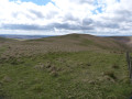 The start of the green trod