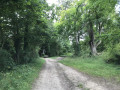 12. The start of the tree-covered path towards Deacon Hill