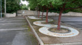 The timeline Mosaic