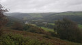 The valley from Furzebeam Hill