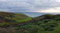 The valley leading to Sandy Mouth