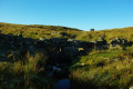 The Wall over the stream