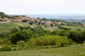 Theizé