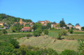 Theizé
