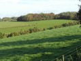 Thiembronne